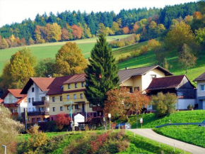 Hotel Gasthof Zur Krone Odenwald-Sterne-Hotel Beerfelden